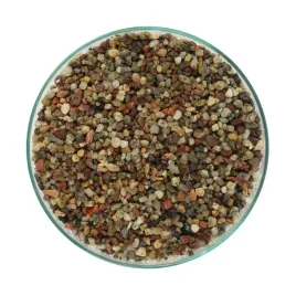 20kg-zwirek-rzeczny-do-akwarium-2-5mm-rosliny