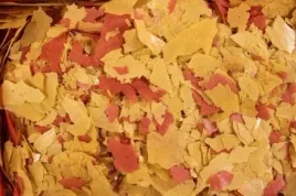 pokarm-glopex-eigelb-mix-200-gr-pokarm-energetyczny-jajeczny