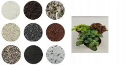 zestaw-startowy-las-w-szkle-3-fittonie-rozne-kolor-prezent