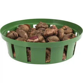 oslonka-23-cm-tworzywo-sztuczne-zielony