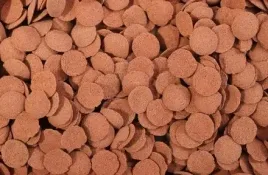 pokarm-algen-wafers-red-glonojad-kirysek