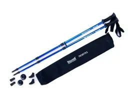 kije-kijki-trekkingowe-nordic-evolution-nortes