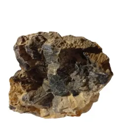 1-szt-skamieniale-drewno-las-w-sloiku-szkle-10x10-cm