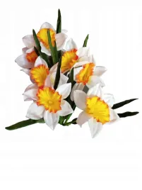 zonkil-bukiet-sztuczny-wiosna-50-cm