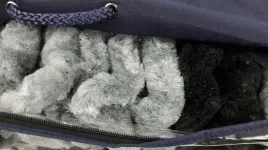 zaslona-drzwiowa-kotki-fredzle-arisol-56x185-cm