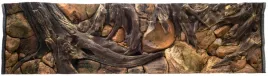 tlo-strukturalne-amazonka-do-akwarium-200x50-cm