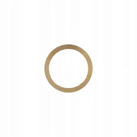 pierscien-redukcyjny-redukcja-do-tarczy-ferrati-254-200mm-x-22mm