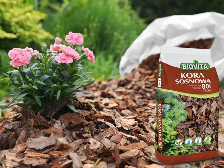 kora-sosnowa-biovita-80l-stan-nowy-kod-producenta-5907813160592