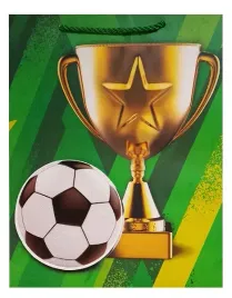 torba-prezentowa-zielona-pilka-trofeum-31-x-40-x-12-prezent-upominek