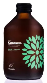 kombucha-z-ogorkiem-i-kolendra-bezgl-bio-330-ml