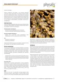 cynk-forte-30-tabletek-physalis-podstawowy-skladnik-cynk
