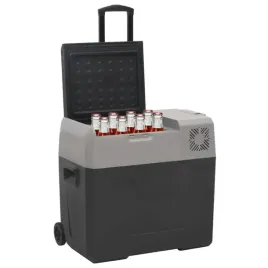 vidaxl-lodowka-na-kolkach-z-zasilaczem-czarno-szara-30-l-pp