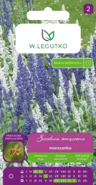 szalwia-omaczona-victoria-blue-and-white-biala-niebieska-pachnaca-mix-02g