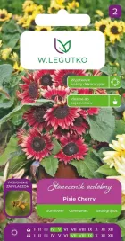 slonecznik-ozdobny-pixie-cherry-2g-karlowy-do-skrzynek-balkon-taras-czerwon