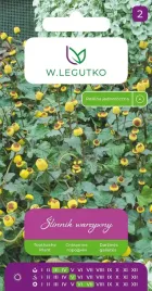 slinnik-warzywny-zolty-002g-warzywo-wartosci-lecznicze-znieczulecznik