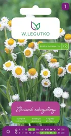 zlociszek-oskrzydlony-mini-sloneczniki-na-kwiaty-ciete-suche-bialy-1g