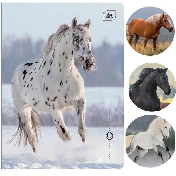 Zeszyt A5 32k w 3 linie kolor Interdruk Wild Horses KONIE