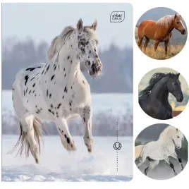 zeszyt-a5-32k-w-3-linie-kolor-interdruk-wild-horses-konie