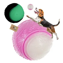 zabawka-dla-psa-pilka-swiecaca-w-ciemnosci-piszczaca-fluorescencyjna-mocna