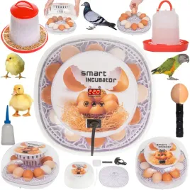 inkubator-klujnik-wylegarka-jaj-wylegu-12-jaj-automatyczne-obracanie