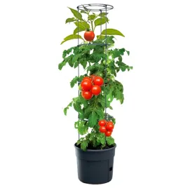 2-x-doniczka-do-uprawy-pomidorow-zestaw-tomato-grower-donica-antracyt