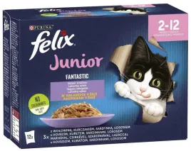 felix-fantastic-junior-karma-dla-kociat-smakow-w-galaretce-12x85g