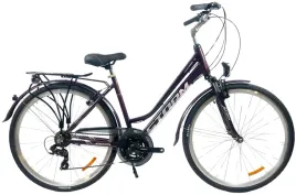 rower-trekkingowy-storm-marathon-1-0-lady-rama-17-28-sliwkowy-2025