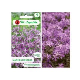 nasiona-maciejka-dwuroga-rozowolawendowa-2g