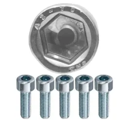 sruba-imbusowa-nierdzewna-pelny-gwint-a2-fotowoltaika-m8x20-5-szt