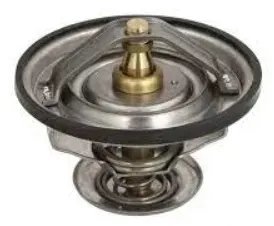 termostat-hanomag-2872578m1