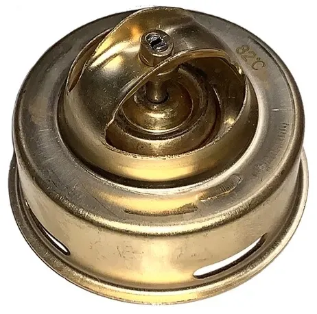 termostat-caterpillar-3046