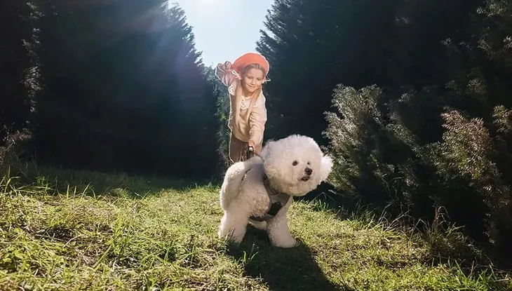 2-x-dji-osmo-pocket-3-creator-combo-dji-mic-2-basic-1-tx-1-rx-vlog-co-waga-z-opakowaniem-0-68-kg