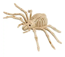 dekoracja-halloweenowa-szkielet-pajaka-24-cm-halloweenowy-hallowen