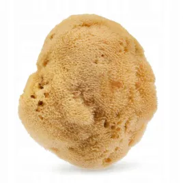 gabka-do-kapieli-dla-niemowlat-100percent-naturalna-morska-125-cm-hhuumm-01f