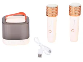 mikrofony-z-glosnikiem-bezprzewodowy-bluetooth-2-mikrofony-in0178