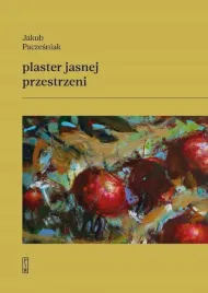 plaster-jasnej-przestrzeni
