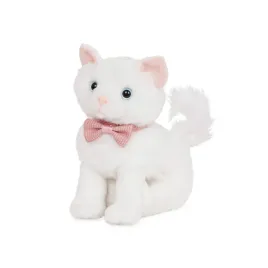 kotek-z-regulowanymi-konczynami-turkish-angora-kitten-our-generation