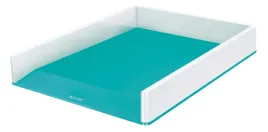 polka-na-dokumenty-kuweta-organizer-leitz-wow