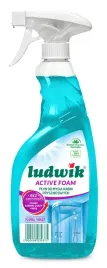 ludwik-plyn-czyszczenie-kabin-prysznicowych-06l
