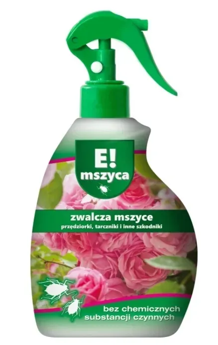 Grafika w opisie produktu