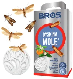 dysk-na-mole-bros-kwiat-pomaranczy