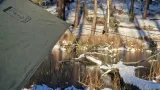 easy-tarp-43-green-bushmen-plec-nie-dotyczy