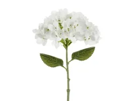 hortensja-biala-35cm