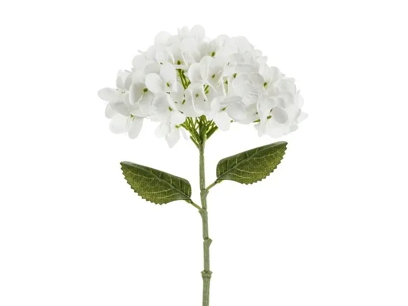 hortensja-biala-35cm