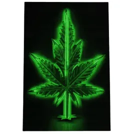 2-x-obraz-90x60-marihuana-ziolo-konopie-neon-popart