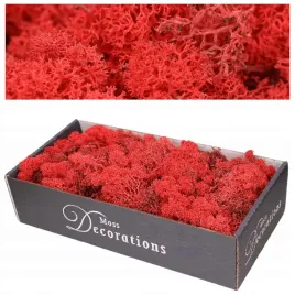 2-x-mech-chrobotek-500g-czerwony-naturalny-reniferowy-stroik-dekoracja-ozdo