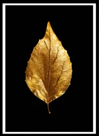 plakat-na-sciane-do-salonu-zloty-duzy-lisc-czarne-tlo-gold-black-100x70cm