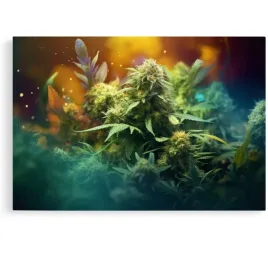 2-x-obraz-120x80-marihuana-ziolo-konopie-kobieta-art