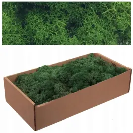 2-x-mech-chrobotek-500g-zielony-naturalny-reniferowy-stroik-dekoracja-ozdob