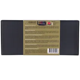 2-x-zestaw-farby-olejne-rembrandt-artystyczne-tubki-portrait-alpay-efe-10x1